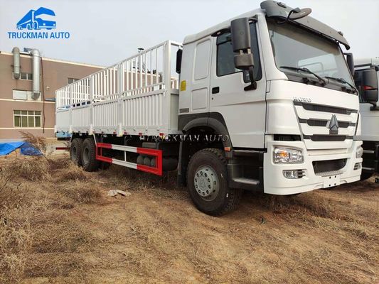 Camion de cargaison de 371HP SINOTRUK HOWO pour l'Ethiopie Djiubouti Somalie