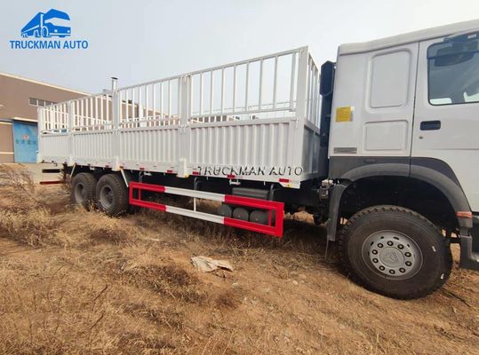 Camion de cargaison de 371HP SINOTRUK HOWO pour l'Ethiopie Djiubouti Somalie